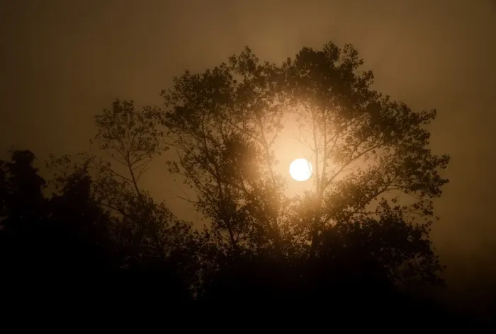 Framed Print : France-Nature-Sunrise