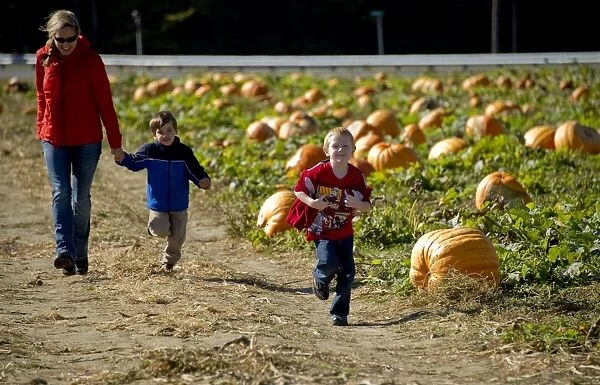 With Halloween just days away, children run through a pummpkin patch at Councell Farms in Cordova