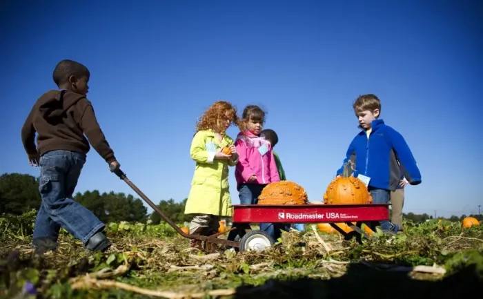 Framed Print : With Halloween just days away, children select pumpkins at Councell Farms in Cordova