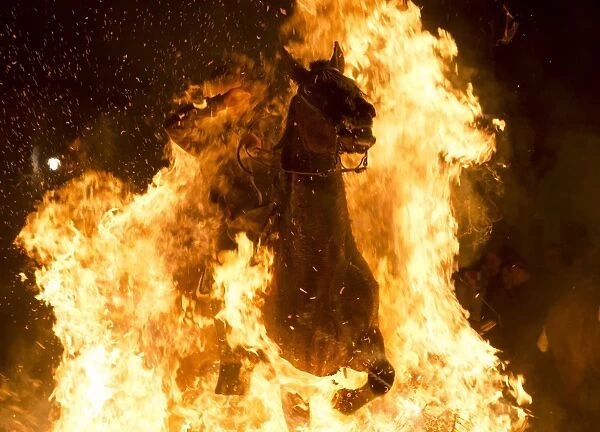 Horseman Jumping a Bonfire during Luminarias