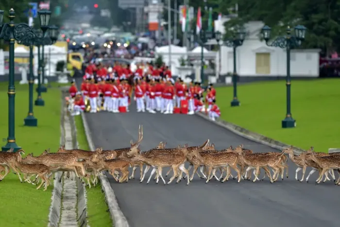 Framed Print : Indonesia-Saudi-Diplomacy-Royals