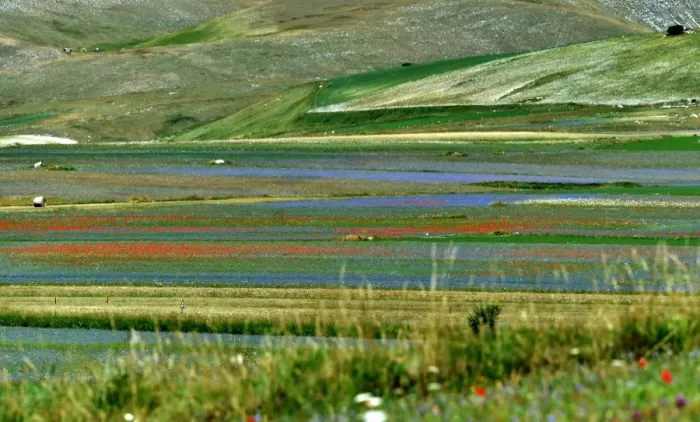 Framed Print : Italy-Feature-Castelluccio-Earthquake Framed Print : Italy-Feature-Castelluccio-Earthquake