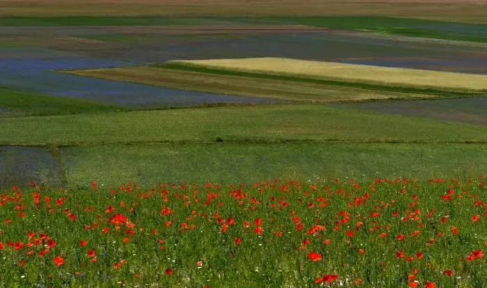 Framed Print : Italy-Feature-Castelluccio-Earthquake