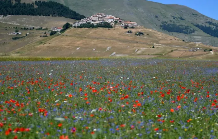 Framed Print : Italy-Feature-Castelluccio-Earthquaks Framed Print : Italy-Feature-Castelluccio-Earthquaks