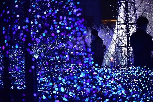 Japan-Illumination-Christmas