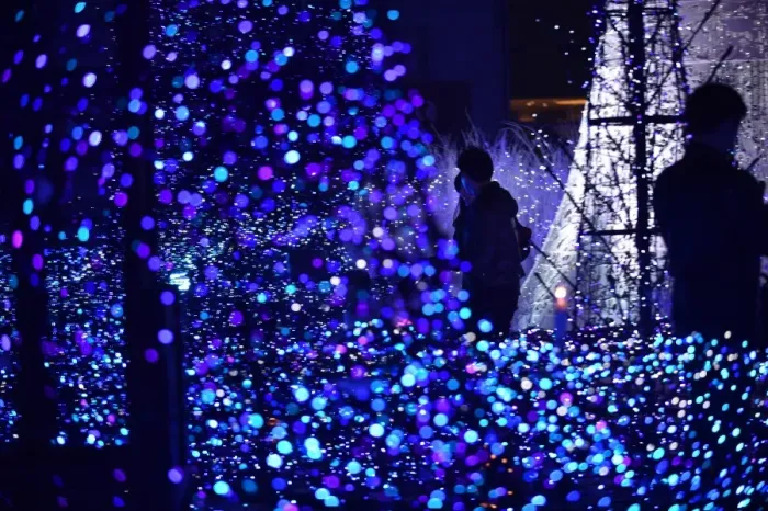 Framed Print : Japan-Illumination-Christmas Framed Print : Japan-Illumination-Christmas