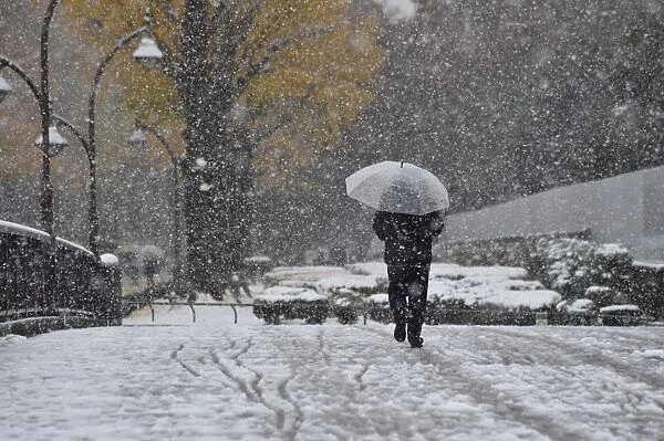Japan-Weather-Snow. A pedestrian walks in snowfall in Tokyo on November 24, 2016.