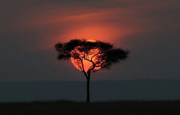 Kenya-Tourism-Nature-Sunset