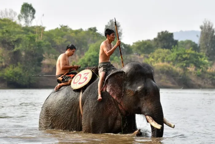 Framed Print : Mahout Y Hoi Bya (L) rides his elephant named Kham Sinh