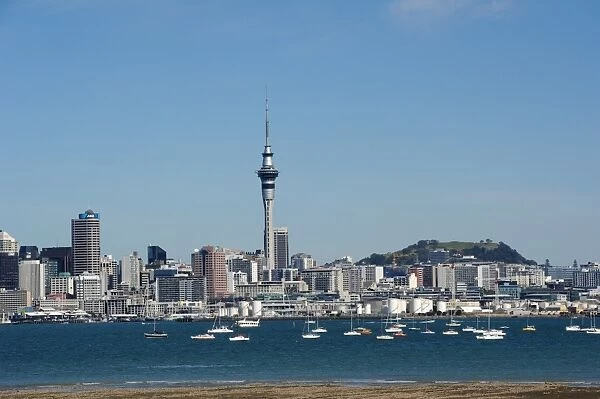New Zealand-Auckland-Skyline