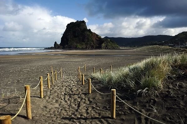 New Zealand-Feature. Lion Rock at Piha in New Zealand on October 18
