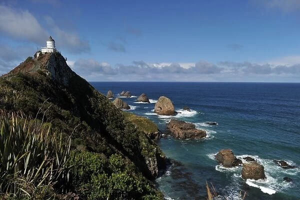 New Zealand-Feature-Lighthouse