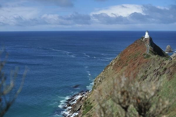 New Zealand-Lighthouse-Nugget Point