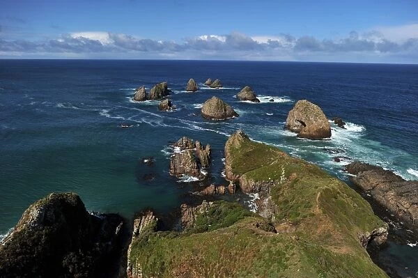 New Zealand-Nature-Coastline