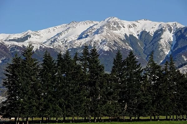 New Zealand-South Island-Mountain