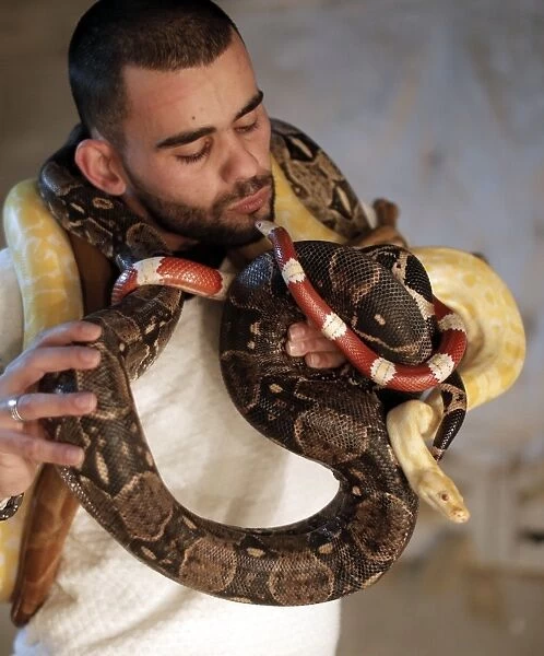 Palestinian-Animals-Snakes-Offbeat