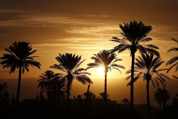 Palestinian- Sunset. A picture taken on January 10