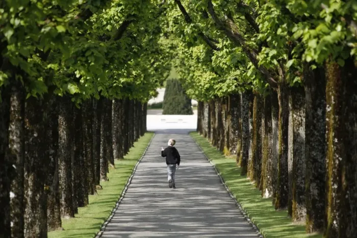 Framed Print : This photo taken on May 1, 2014, shows a young boy walking on a path lined with trees Framed Print : This photo taken on May 1, 2014, shows a young boy walking on a path lined with trees