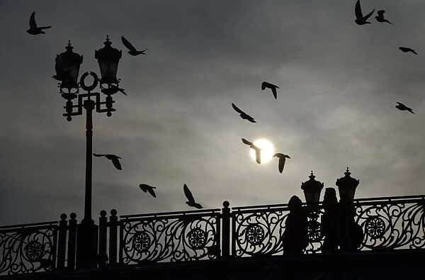 Russia-Feature. Pigeons fly past pedestrians walking along the Patriarch
