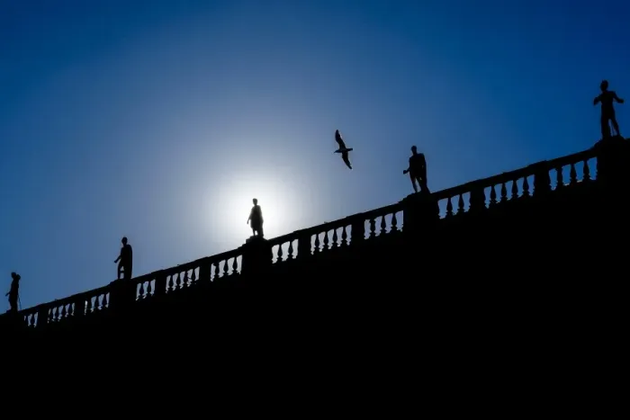Framed Print : A seagull flies over the statues of the Museum Capitolinis palace at Capitol