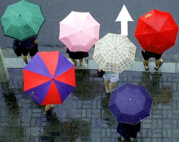 South Korea Rain. South Korean hold umbrellas while waiting to cross a