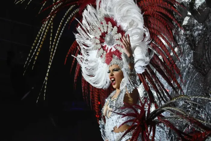 Framed Print : Spain-Carnival-Santa Cruz