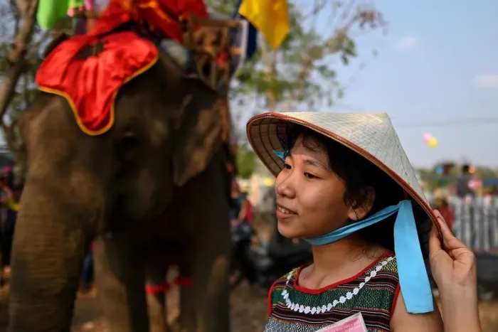 Framed Print : A spectator waits for the start of the elephant race during the Buon Don elephant festival in Vietnams central highlands of Dak Lak province