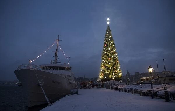 Sweden-Tradition-Christmas-Tree