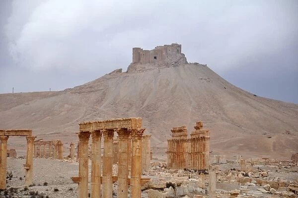 Syria-Conflict-Palmyra