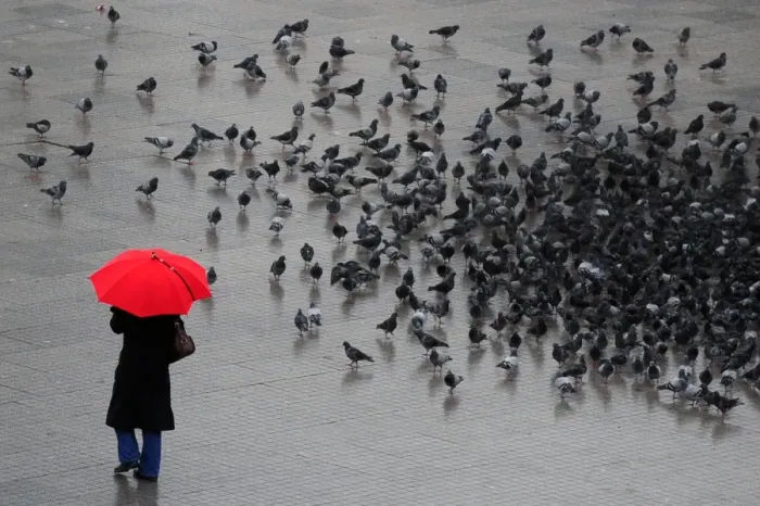 Framed Print : Turkey-Rain-Feature