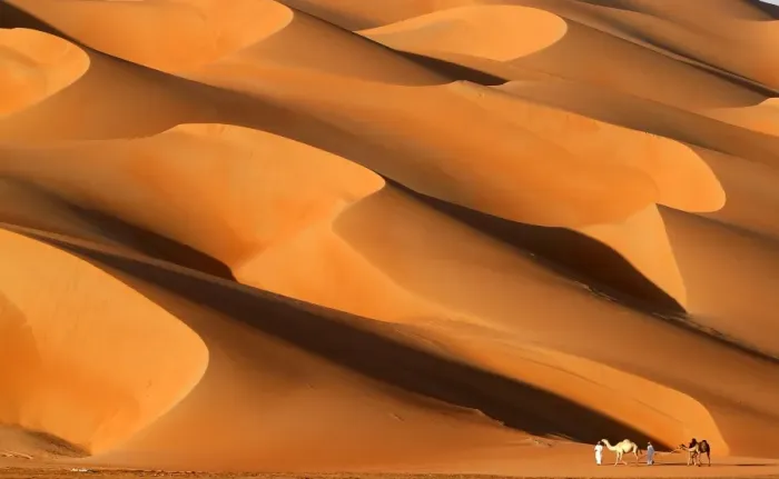 Framed Print : Uae-Nature-Desert-Festival