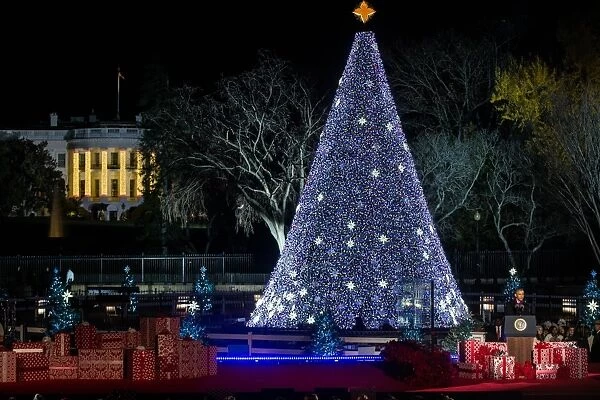 Us-Politics-Holiday-Christmas-Tree-Obama