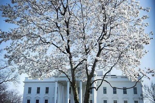 Us-Politics-Weather. A view of the White House as spring approaches ON April 5