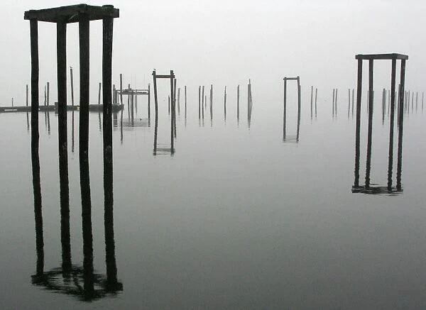 Us-Weather-Fog. Pilings are reflected in the water of Eastchester Bay April 8