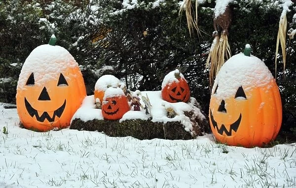 Us-Weather-Snow. A snow covered Halloween decoration is seen in the town of Westminster