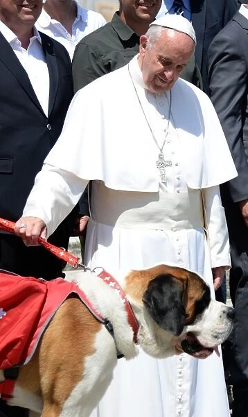 Vatican-Pope-Dog. Pope Francis poses with a dog of the Barry Foundation