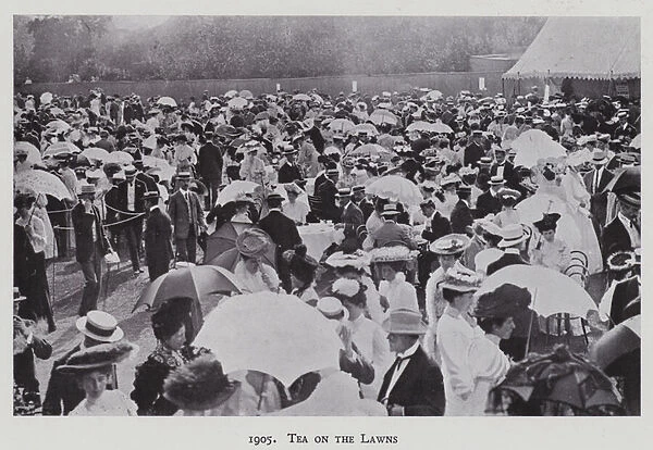 1905, Tea on the Lawns (b  /  w photo)