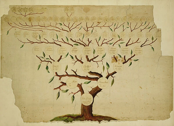 Bach Family Tree, c. 1750-1770 (pen and ink and pencil on paper)