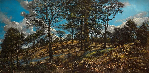 Bigbury Wood (oil on canvas)