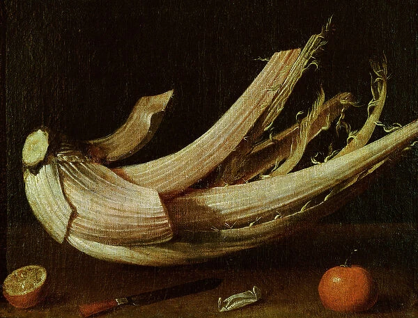 Cardoon, oranges and knife (oil on canvas)