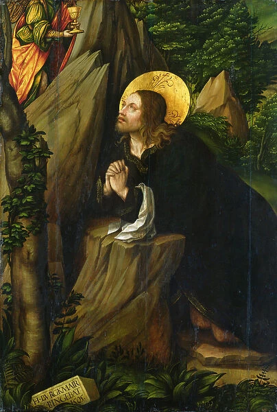 Christ on the Mount of Olives, 1505 (oil on panel)