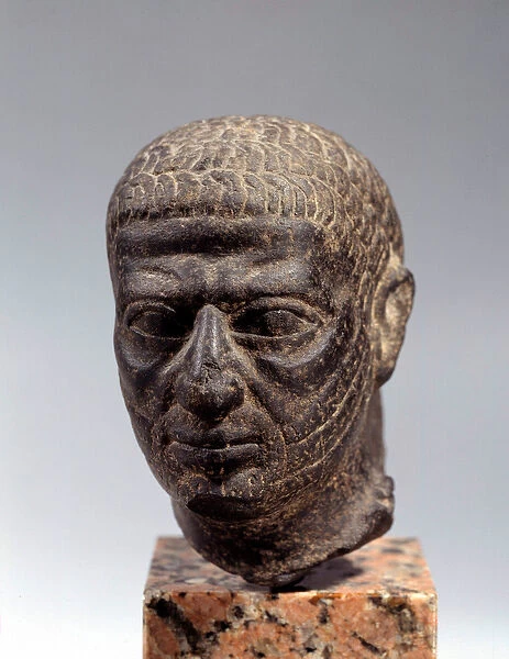 Egyptian antiquite: head of bearded man in basalt. Ptolemaic period. 1st century BC. Sun