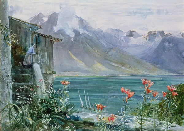 Ferritet, Lake Geneva, 1882 (w  /  c)