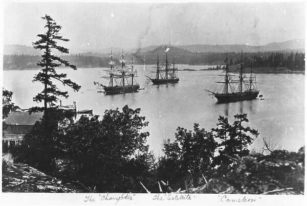 HMS Charybdis, HMS Satellite and HMS Cameleon at Esquimalt Royal Navy Dockyard, British Columbia, c