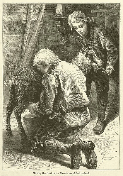 Milking the Goat in the Mountains of Switzerland (engraving)
