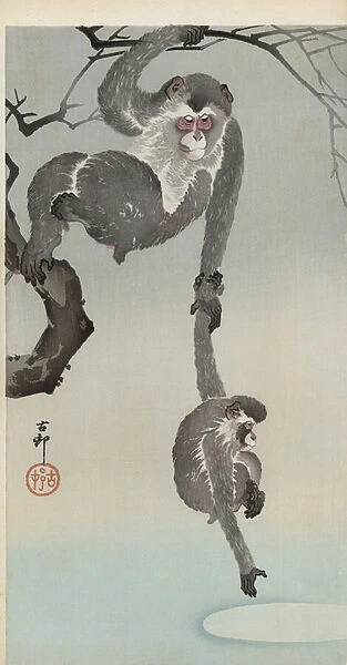 Monkey and baby reaching for the reflection of the moon, 1910 (colour woodblock print)