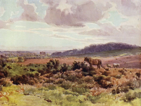 The New Forest: View from Picket Post on Ringwood Road (colour litho)