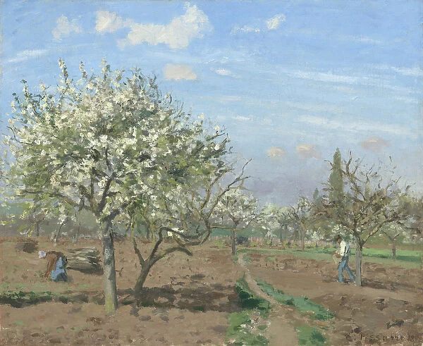Orchard in Bloom, Louveciennes, 1872 (oil on canvas)
