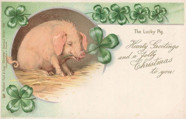 Pig in clover (chromolitho)