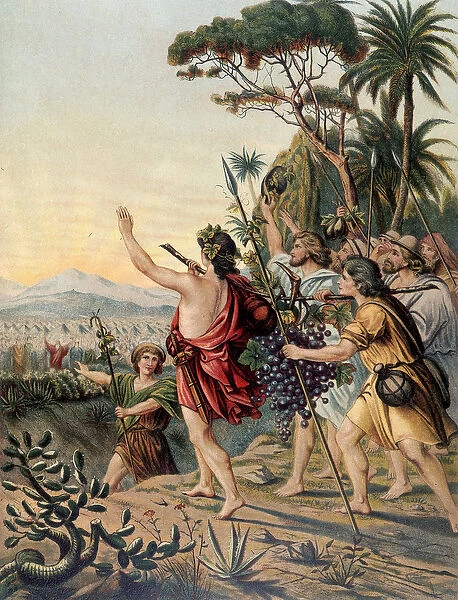 The Return of the Land of Canaan - in 'Aurea Bibbia classica